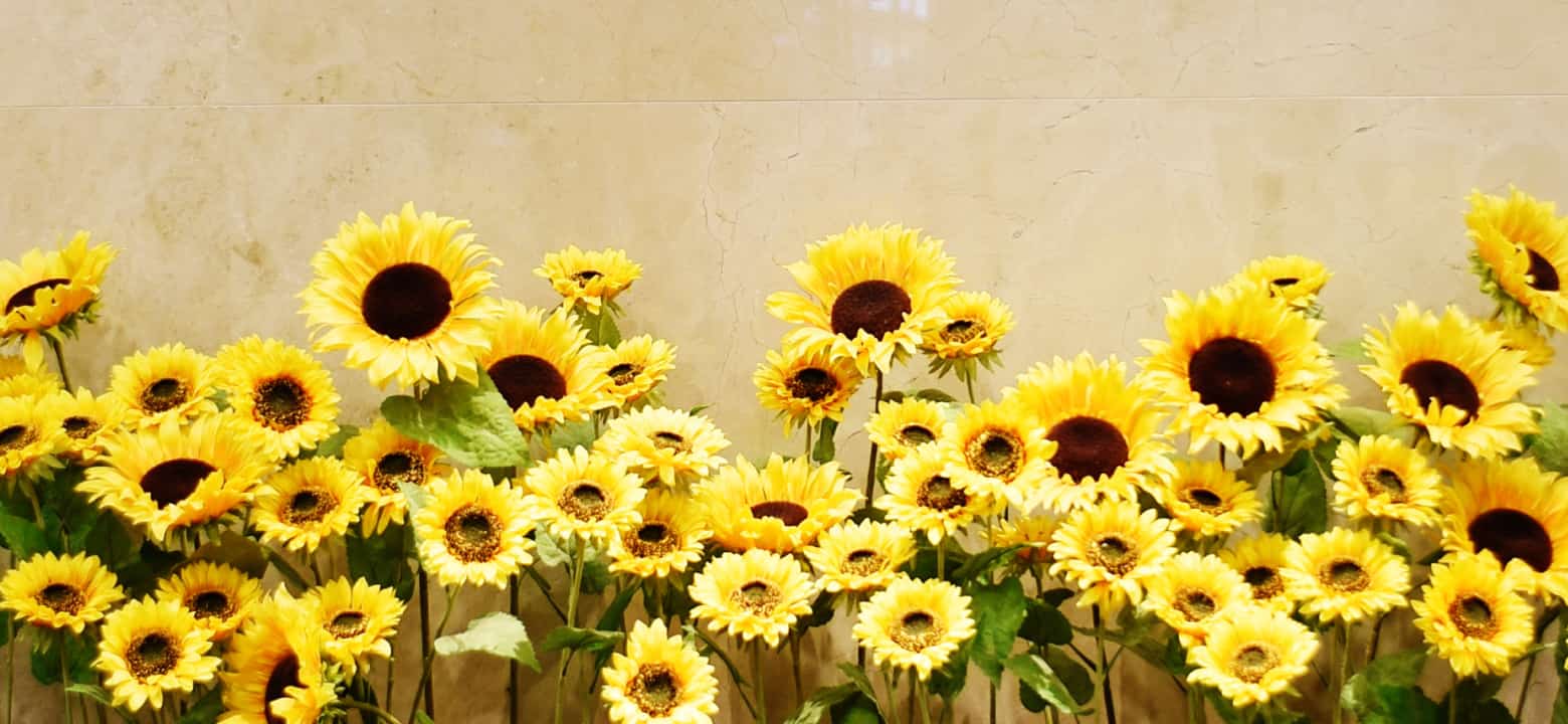 SOMPO Himawari Life Insurance Inc.
